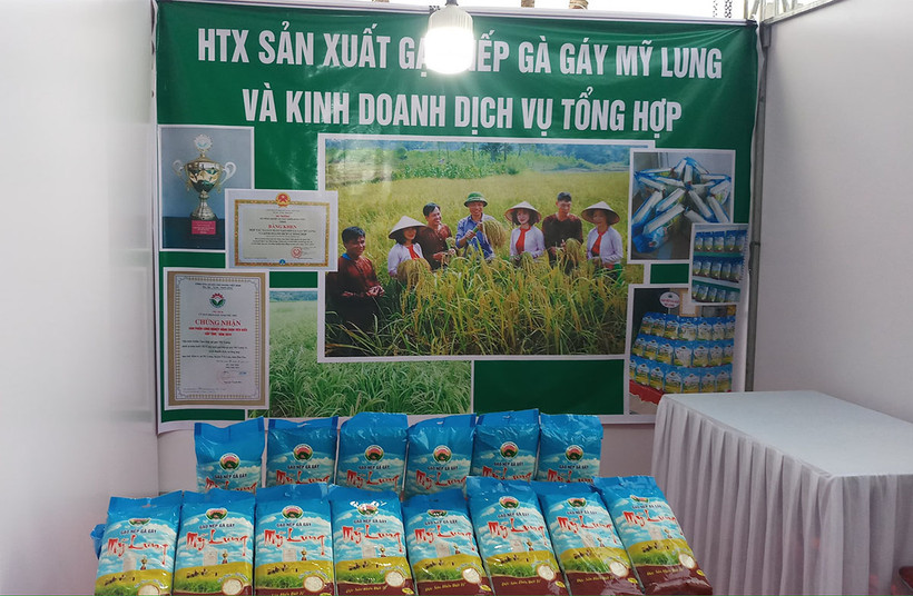 Phú Thọ tạo “bệ phóng” cho sản phẩm OCOP phát triển ở các huyện miền núi