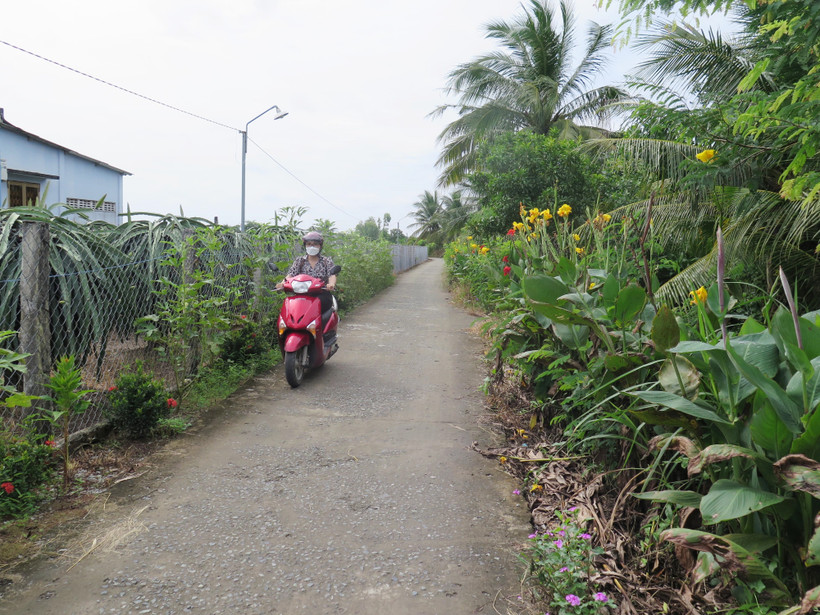 Đường dẫn vào ấp Long Thành, xã Long Trì, huyện Châu Thành (Long An) đã được bê tông hóa, trồng hoa tạo cảnh quan và lắp hệ thống đèn chiếu sáng. Ảnh: Minh Hưng