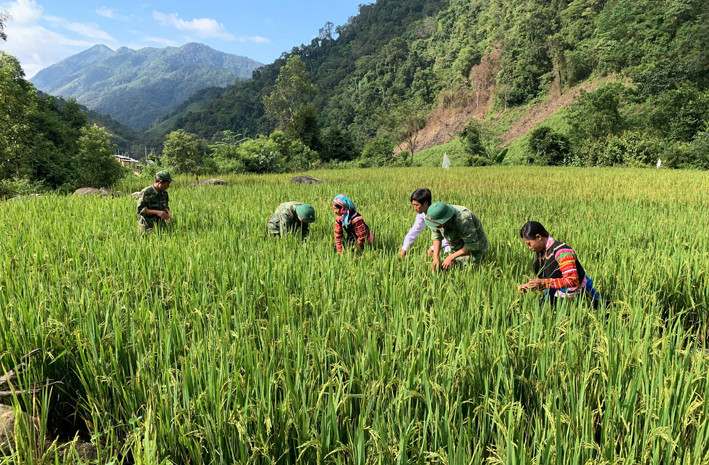 Bà con ở bản Hà Si - Hà Nê thuộc xã Pa Ủ, huyện Mường Tè (Lai Châu) đã có lương thực phục vụ cuộc sống. Ảnh: Việt Hoàng