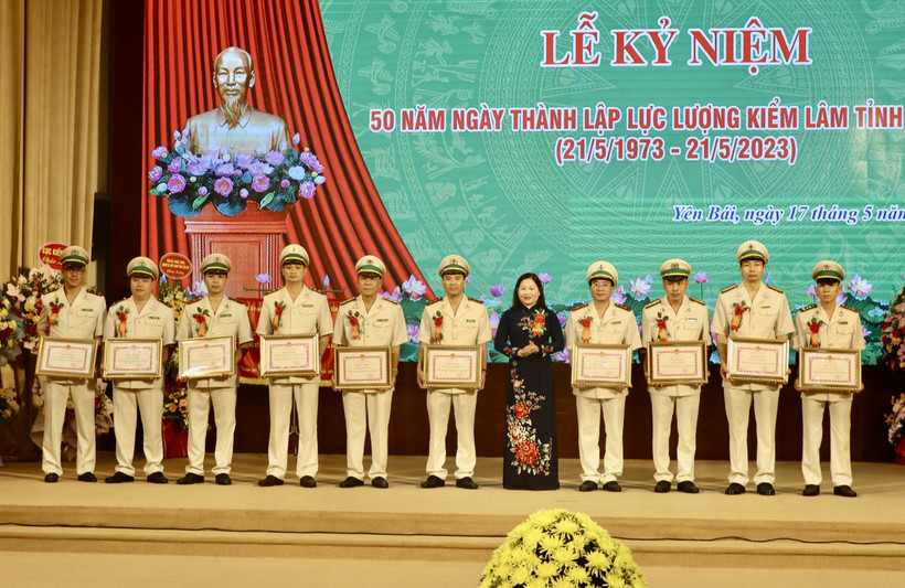 Yên Bái đổi mới phương pháp bảo vệ, phát triển rừng