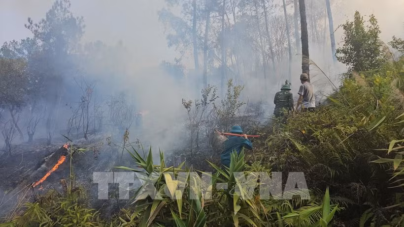 Lực lượng chức năng tỉnh Thừa Thiên –Huế đang nỗ lực khống chế vụ cháy, lập đường băng khoanh vùng cán lửa. Ảnh: Tường Vi-TTXVN