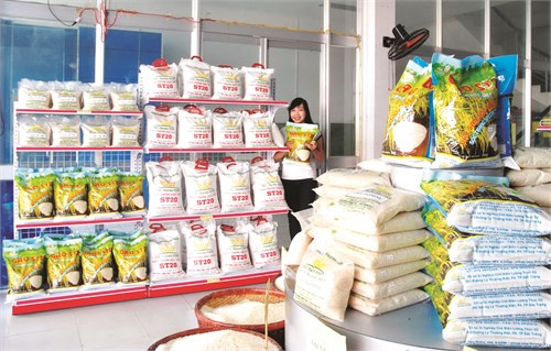 Sóc Trăng nâng cao năng suất lúa đặc sản