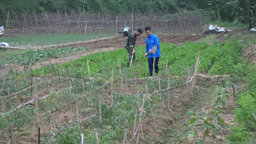 Hỗ trợ đồng bào vùng cao tỉnh Cao Bằng thoát nghèo hiệu quả