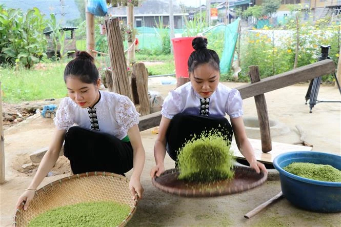 Dẻo thơm hương nếp Tú Lệ