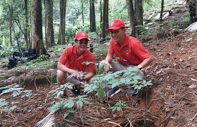 Để du lịch Kon Tum “cất cánh” (Bài 2)