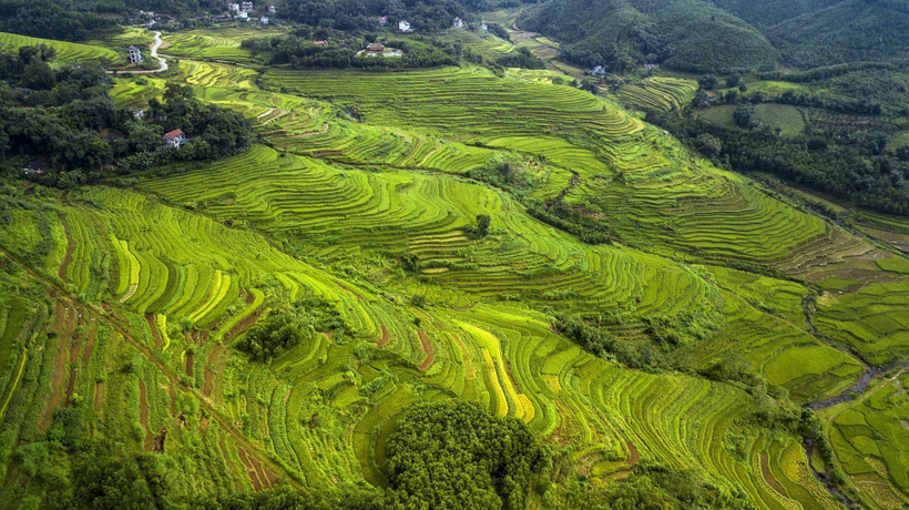 Vẻ đẹp của những thửa ruộng bậc thang Miền Đồi (Hòa Bình) không thua kém gì so với những vùng đất vốn đã rất nổi tiếng về ruộng bậc thang như Lào Cai, Yên Bái... Ảnh: Trọng Đạt – TTXVN