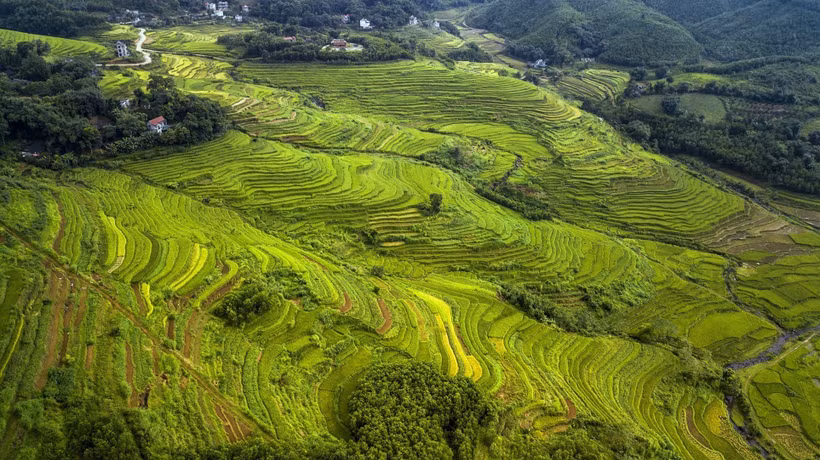 Vẻ đẹp của những thửa ruộng bậc thang Miền Đồi (Hòa Bình) không thua kém gì so với những vùng đất vốn đã rất nổi tiếng về ruộng bậc thang như Lào Cai, Yên Bái... Ảnh: Trọng Đạt – TTXVN