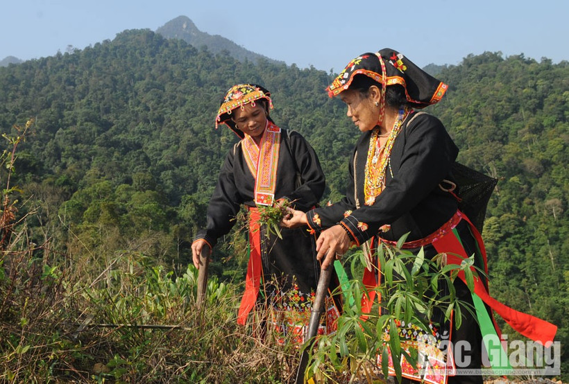 Nâng cao đời sống người dân vùng miền núi, dân tộc tỉnh Bắc Giang