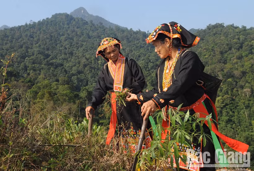 Nâng cao đời sống người dân vùng miền núi, dân tộc tỉnh Bắc Giang