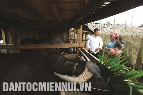 Trạm Tấu với công tác di dân vùng lũ