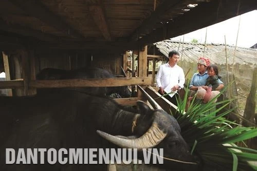 Trạm Tấu với công tác di dân vùng lũ