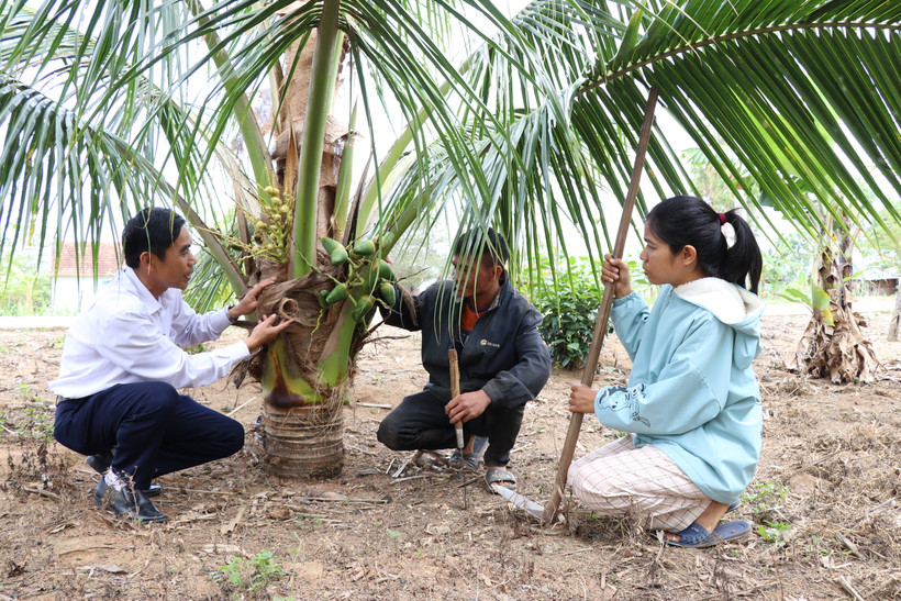 Những mô hình mang lại hiệu quả kinh tế cho đồng bào dân tộc ở K'bang