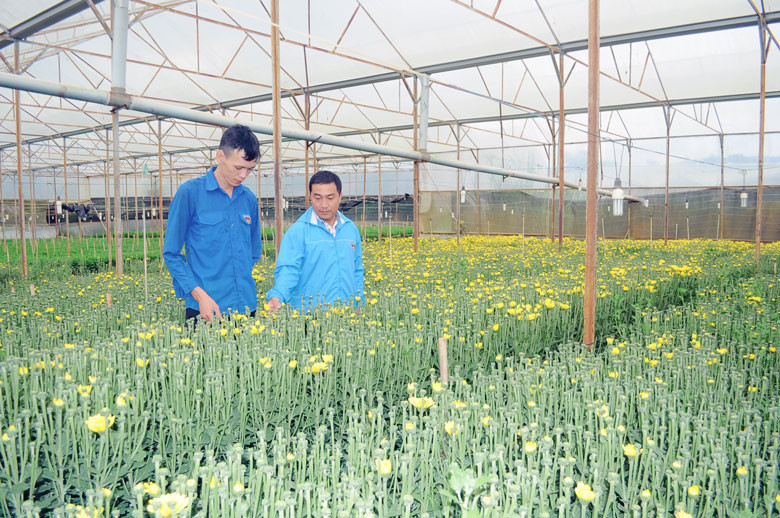 Lâm Đồng: Mỗi dự án thanh niên khởi nghiệp được hỗ trợ tối đa 2 tỷ đồng