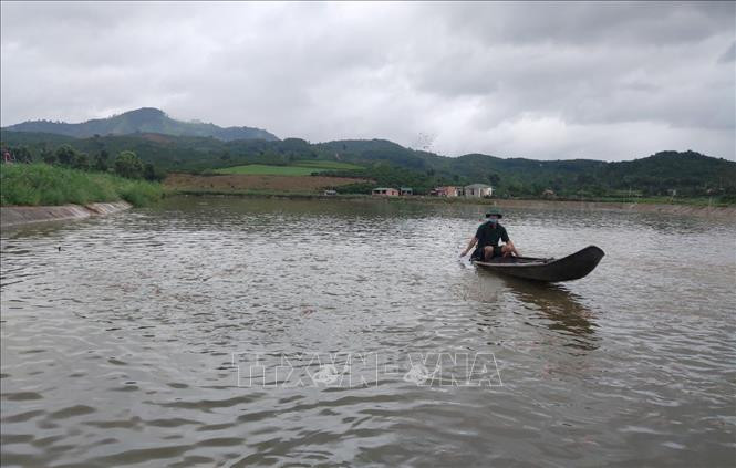 CCB Phạm Văn Luốn (sinh năm 1970, trú xã Đăk Mar, huyện Đăk Hà, tỉnh Kon Tum) nuôi trồng thủy sản trên tổng diện tích mặt nước khoảng 30ha, tổng thu nhập trên 13 tỷ đồng/năm, tạo việc làm cho 20 lao động thường xuyên. Ảnh: Dư Toán – TTXVN