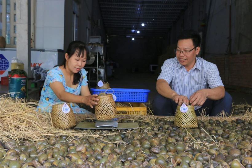 Anh Lê Hồng Lâm thu nhập cao từ sản phẩm ốc gác bếp