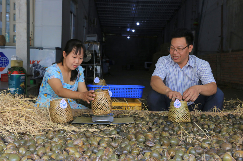 Anh Lê Hồng Lâm thu nhập cao từ sản phẩm ốc gác bếp