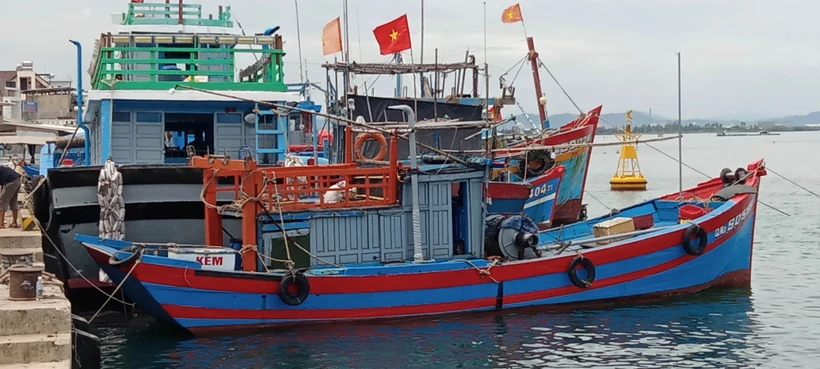 Tàu thuyền có công suất lớn của xã đảo Tam Hải (Núi Thành, Quảng Nam) được bố trí chỗ neo đậu an toàn trong mùa mưa bão. Ảnh: Đoàn Hữu Trung - TTXVN