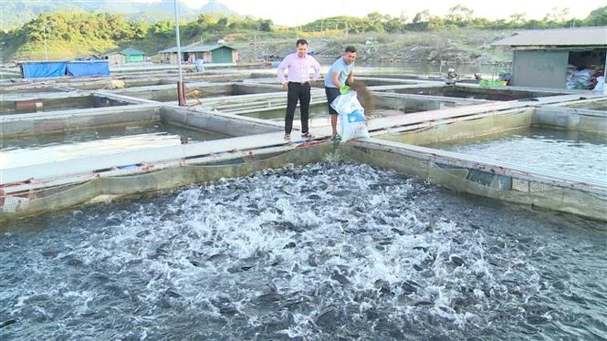 Hiệu quả của các dự án thủy điện tại Tuyên Quang 