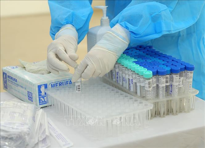 Quy trình xét nghiệm được thực hiện nghiêm túc và chuẩn xác. Ảnh: Hoàng Hiếu - TTXVN