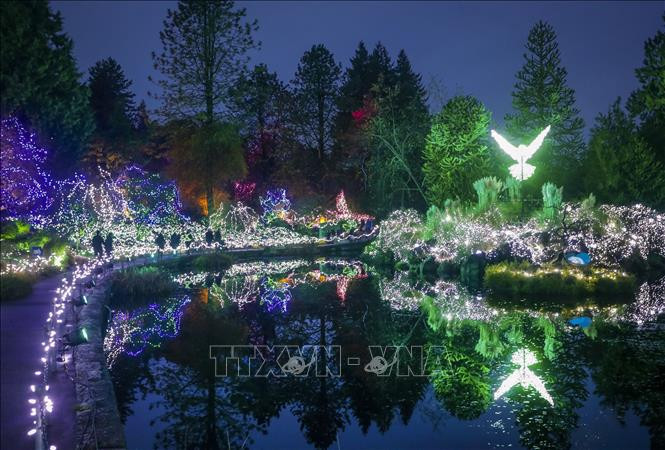 Các tác phẩm nghệ thuật tại Lễ hội Ánh sáng ở Vancouver, British Columbia, Canada ngày 26/11/2021. Ảnh: THX/ TTXVN