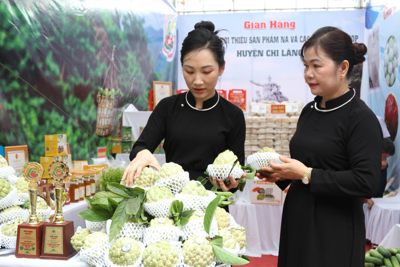 Chủ tịch UBND huyên Chi Lăng, tỉnh Lạng Sơn Vi Nông Trường phát biểu tại chương trình Ảnh: Quang Duy – TTXVN