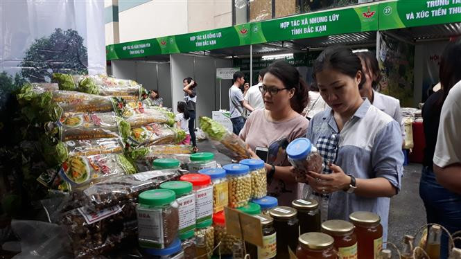Tuần văn hóa chào mừng đại lễ kỷ niệm 1010 năm Thăng Long - Hà Nội