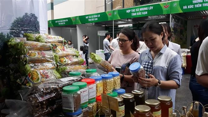 Tuần văn hóa chào mừng đại lễ kỷ niệm 1010 năm Thăng Long - Hà Nội