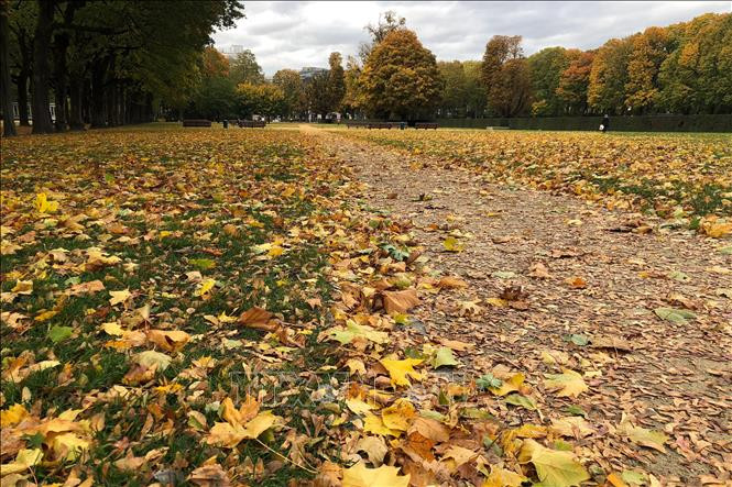 Cảnh đẹp mùa thu ở châu Âu