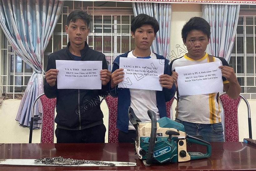 Ba đối tượng Vàng A Tho, Vàng A Đua và Thào A Pua cùng công cụ phá rừng. Ảnh: TTXVN phát