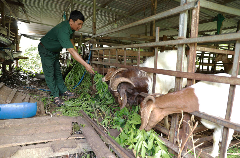 Ưu tiên nguồn lực thực hiện ba chương trình mục tiêu quốc gia tại Đắk Nông