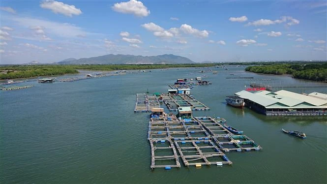 Khu nuôi thủy sản lồng bè trên sông Chà Và, xã Long Sơn, thành phố Vũng Tàu. Ảnh: Hoàng Nhị - TTXVN