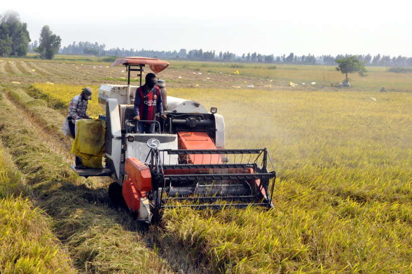 Tư duy mới trên cánh đồng cũ ở Kiên Giang