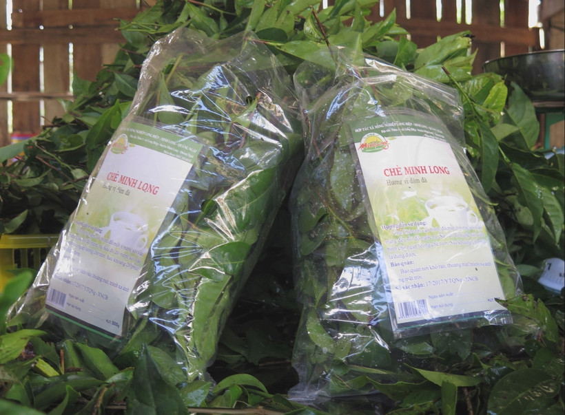 Chè xanh Minh Long được Hợp tác xã Dịch vụ nông lâm nghiệp Thành Tiến, xã Long Hiệp, huyện Minh Long đóng gói với tem, nhãn đầy đủ để khách hàng dễ truy xuất nguồn gốc. Ảnh: Đinh Hương - TTXVN