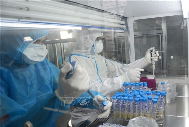 Nhân viên phòng xét nghiệm (CDC Đà Nẵng) tiến hành xét nghiệm. Ảnh: Văn Dũng - TTXVN