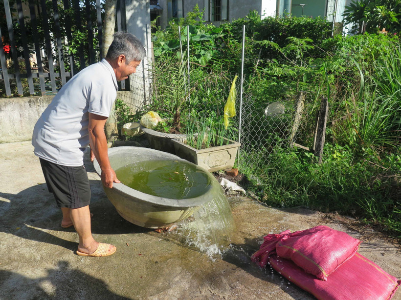 Sốt xuất huyết - biểu hiện và cách phòng bệnh