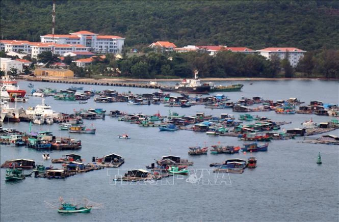 Nuôi cá lồng bè trên vùng biển An Thới, thành phố Phú Quốc (Kiên Giang). Ảnh: Lê Huy Hải – TTXVN