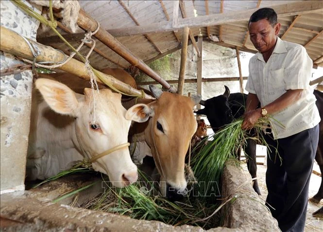 Bên lề Kỳ họp thứ 9, Quốc hội khóa XIV: Phát huy vai trò tự lực vươn lên của đồng bào dân tộc thiểu số nghèo