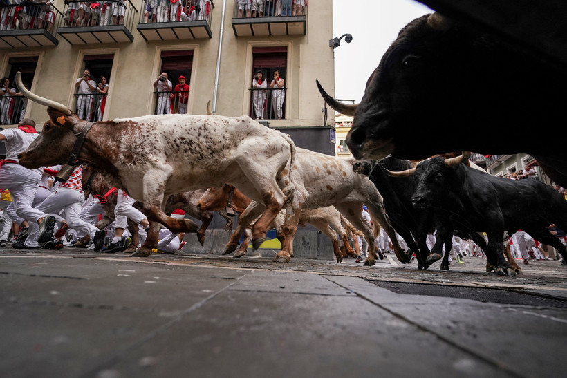 Khai màn mùa lễ hội đấu bò San Fermin