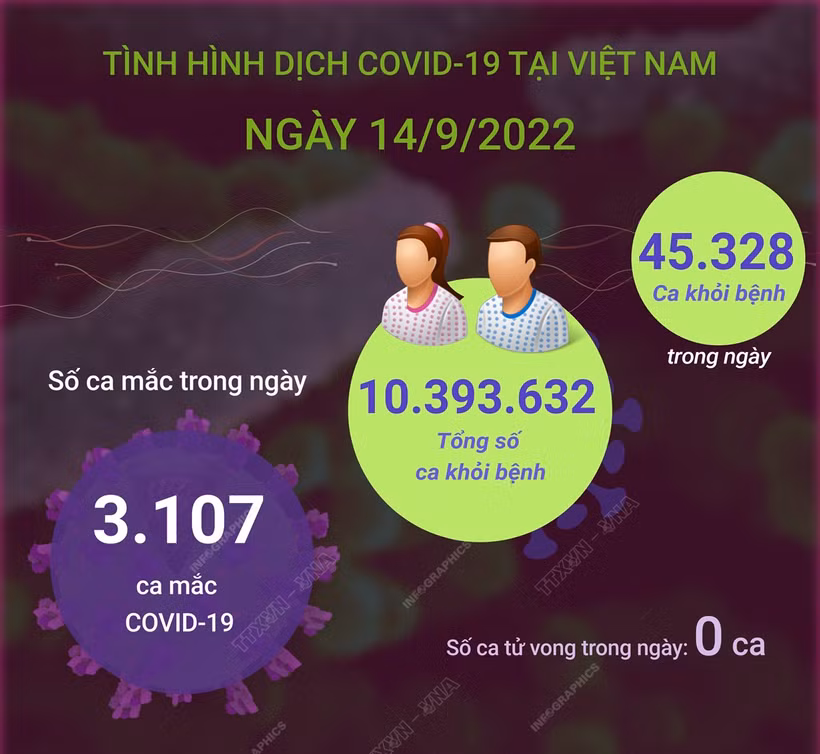 Dịch COVID-19: Số F0 khỏi bệnh tăng cao với hơn 45.000 ca trong ngày 14/9