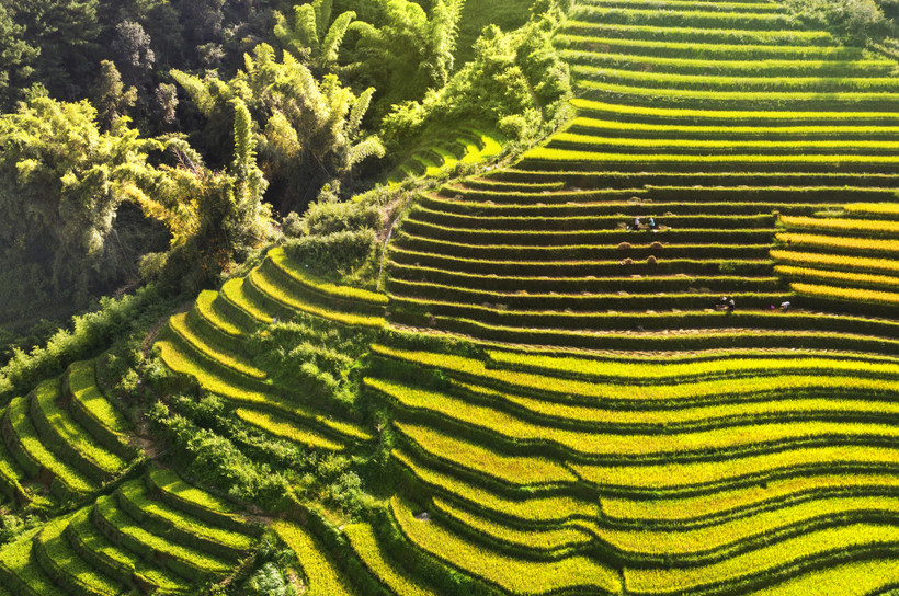 Những nấc thang kỳ vĩ. Ảnh: Khải Hoàn