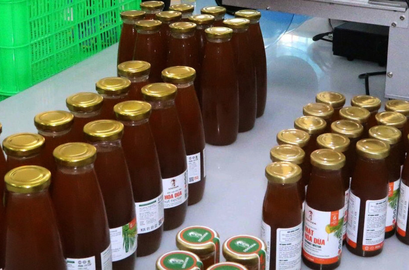 Một số sản phẩm OCOP được chiết xuất từ hoa dừa như nước uống mật hoa dừa, mật hoa dừa cô đặc, đường mật hoa dừa. Ảnh: Thanh Hòa