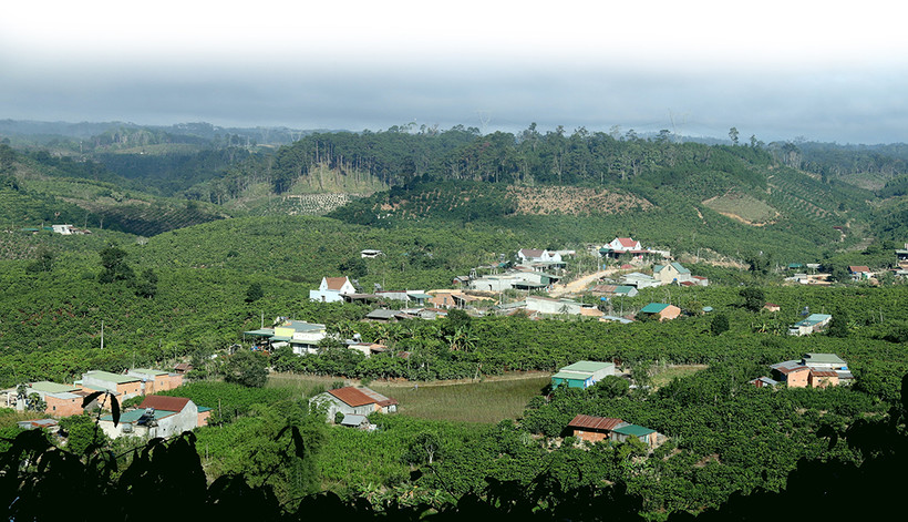 Đạ K’Nàng đẩy mạnh sản xuất nông nghiệp để xóa nghèo