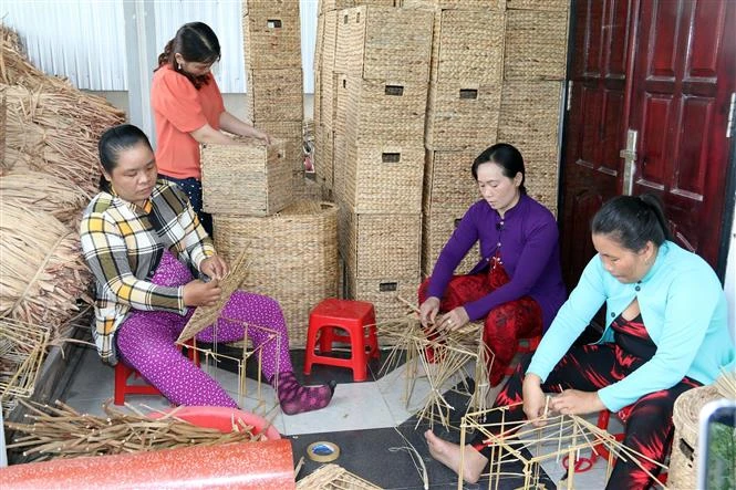 Nghề đan lục bình góp phần tạo việc làm cho phụ nữ ở vùng sâu Kiên Giang