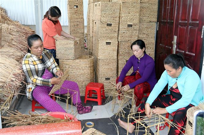 Nghề đan lục bình góp phần tạo việc làm cho phụ nữ ở vùng sâu Kiên Giang