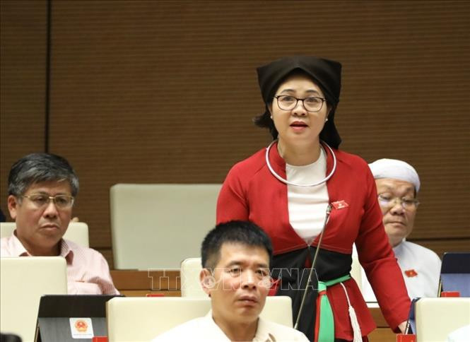 Đại biểu Quốc hội tỉnh Bắc Giang Leo Thị Lịch phát biểu. Ảnh: Văn Điệp – TTXVN