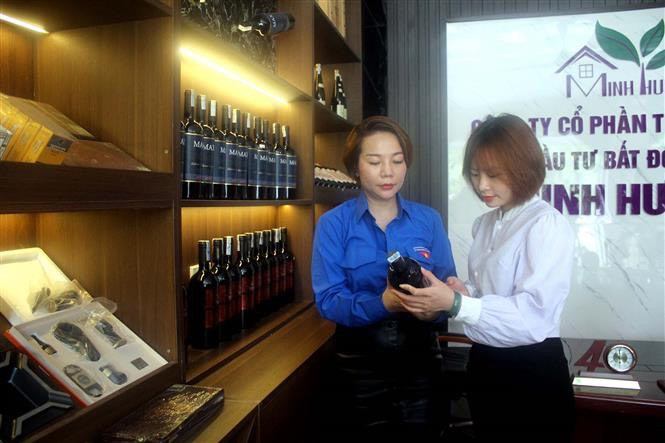 Thanh Hóa: Nhiều mô hình thanh niên khởi nghiệp phát huy hiệu quả