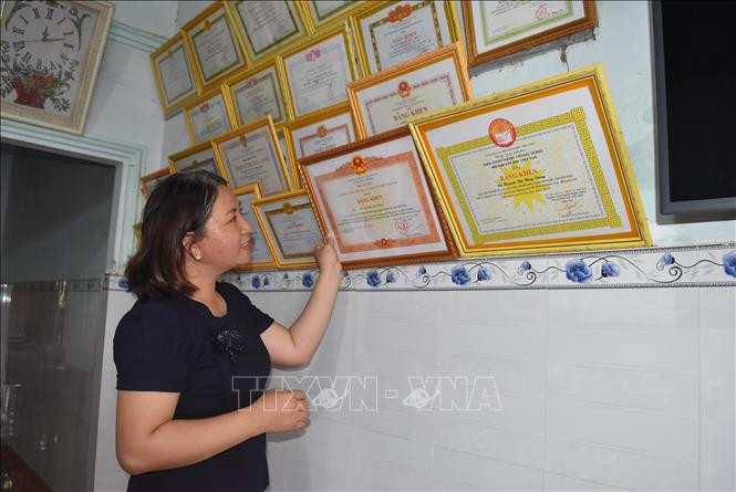 Với những nỗ lực của mình, cô Dung được khen thưởng nhiều Bằng khen, Giấy khen. Ảnh: Nguyễn Dung – TTXVN