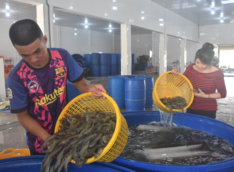 Chị Nguyễn Thanh Thủy luôn theo sát các hoạt động chế biến, sản xuất tại doanh nghiệp. Ảnh: Tuấn Kiệt