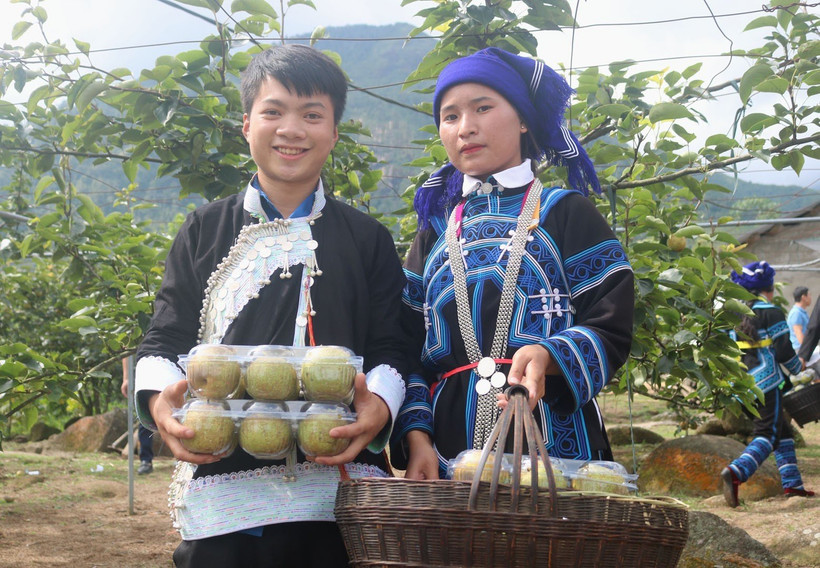 Trái ngọt xóa nghèo trên vùng đất đồi biên cương