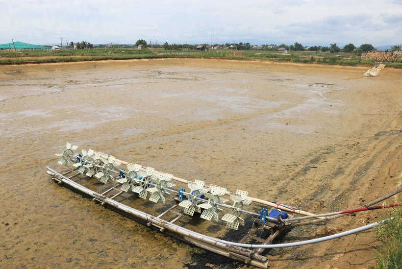 Quảng Trị cần sớm hỗ trợ người nuôi tôm bị thiệt hại nặng